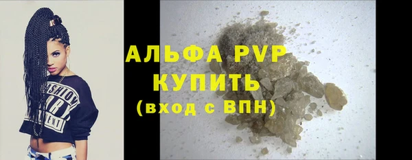 СК Корсаков