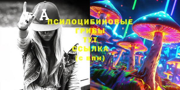 дурь Коряжма