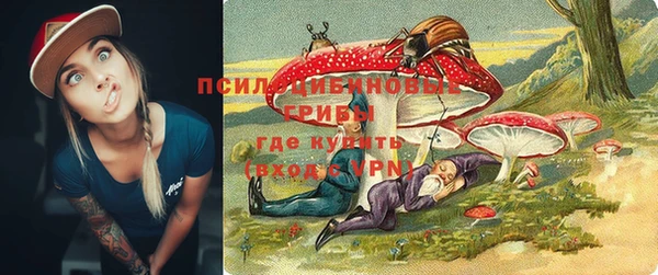 СК Корсаков