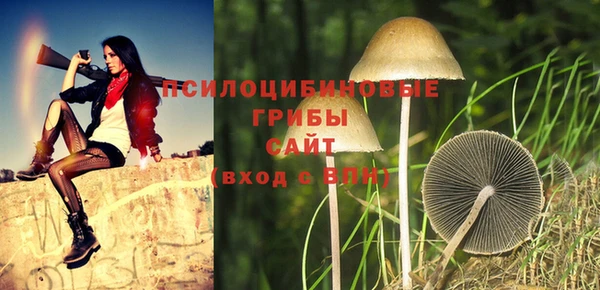 дурь Коряжма