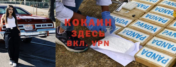 дурь Коряжма