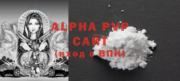 прущие грибы Чердынь