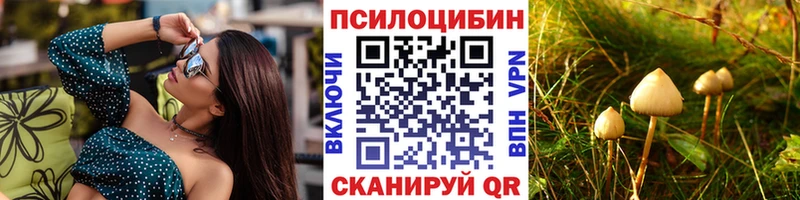 Псилоцибиновые грибы мицелий  Купить закладки  Мончегорск 